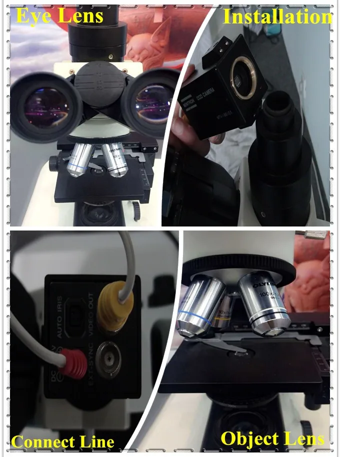 SW-3703 sperm quality analyzer/semen analysis casa/automated sperm analyser