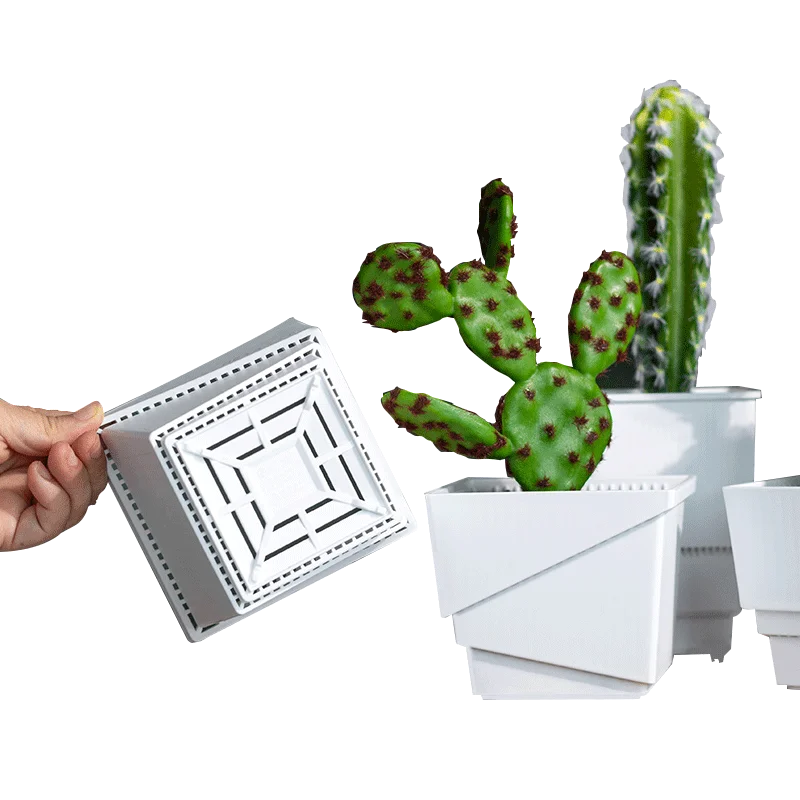 Пластиковые горшки в скандинавском стиле для сада, цветочный горшок, кактус, растительный горшок для суккулентов белого и черного цвета