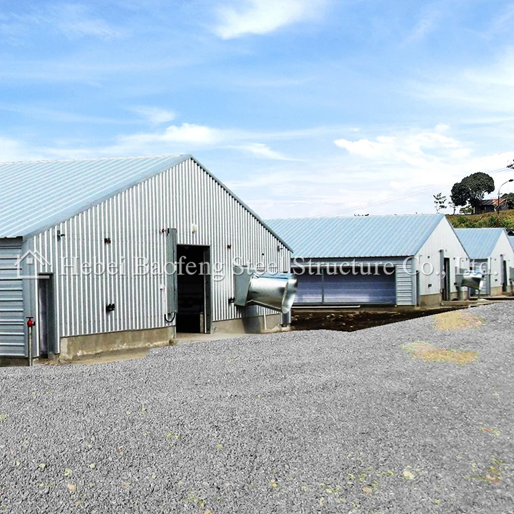 Commercial Prefabricated Steel Structure Poultry Chicken House Made in China