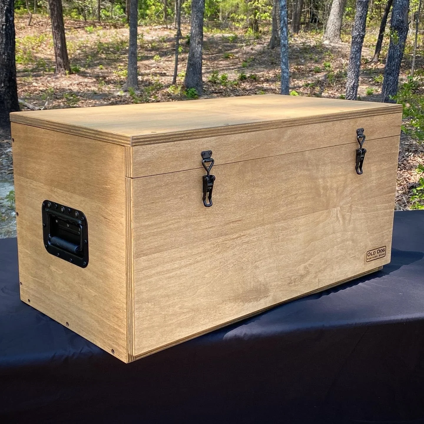 TOOLON Factory Directly Handle Clamp Hasp Toggle Latch 4003 Quick Released Press For Carpentry Hand Tool