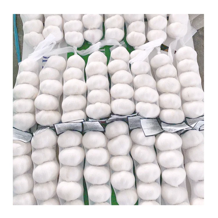 Ajo garlic fresh pure white garlic high quality small package 3P 5P net bag wholesale ajo fresh garlic