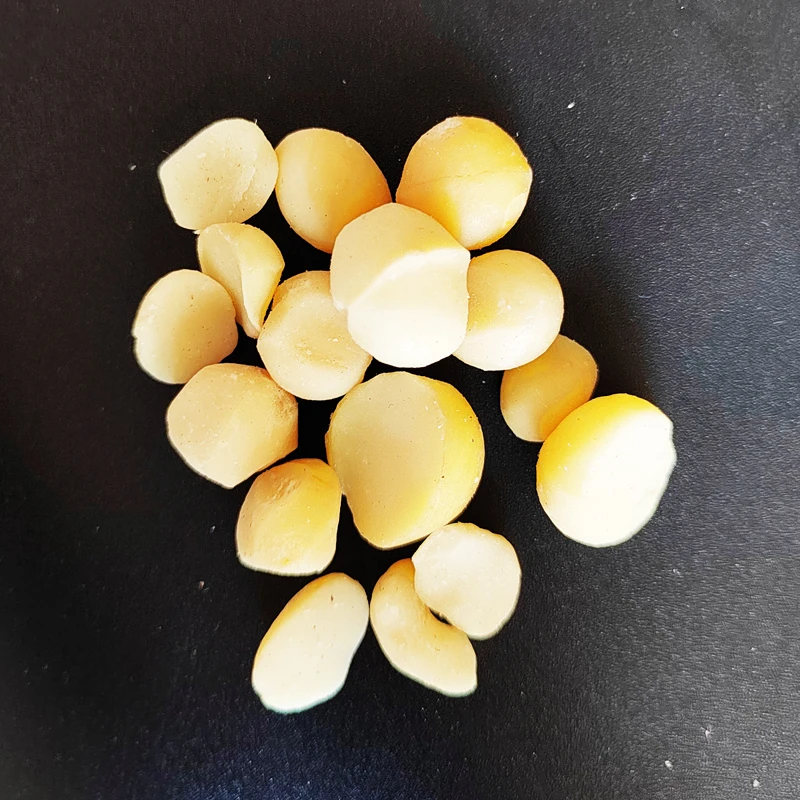 China Manufacture Quality Macadamia Kernels For Exporting