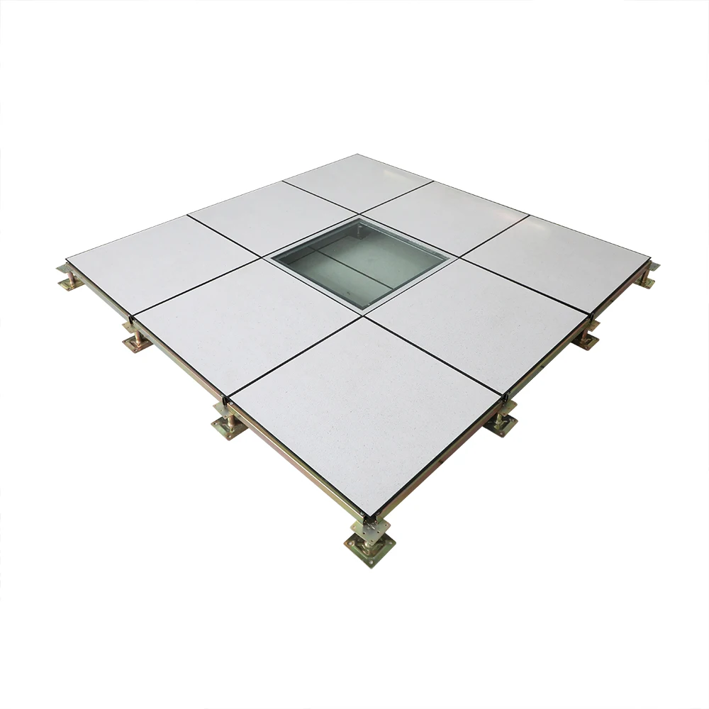 
Raised Floor Accessories Antistatic Flooring Plastic Raised Floor Panels 
