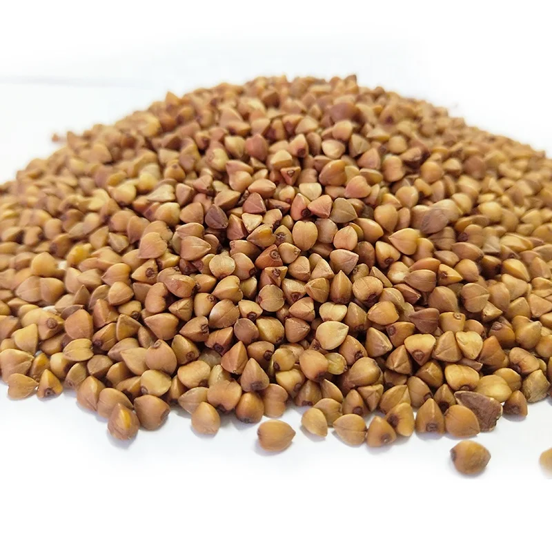
Roasted Buckwheat from China 
