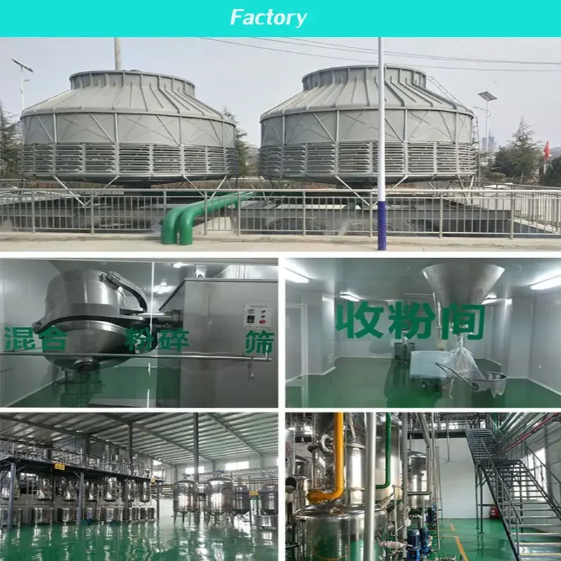 Pure natural jujube extract 10:1 20:1 50:1 100:1 Jujube Seed Extract