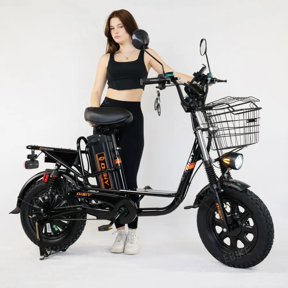 DISIYUAN 2024 Monster M1-M2-M3 electric bike electric bicycles bicycle electric mountain bike electric motorcycle cargo bike