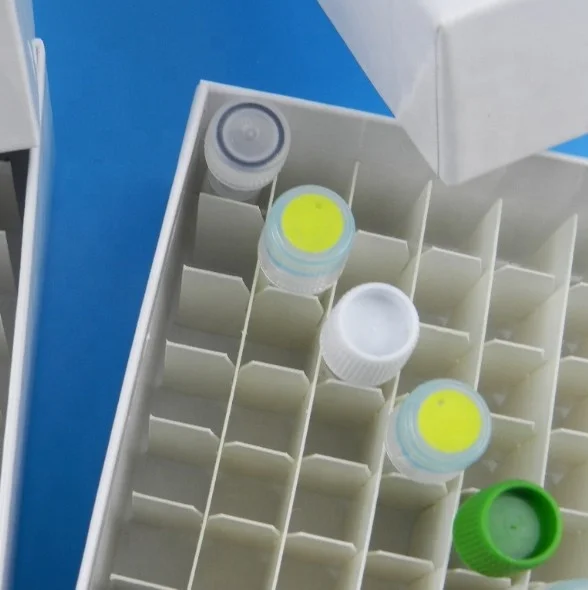 Индивидуальные Лабораторная посуда из цветного пластика а-ля тестовый Штатив для пробирок для лабораторных подставка держатель