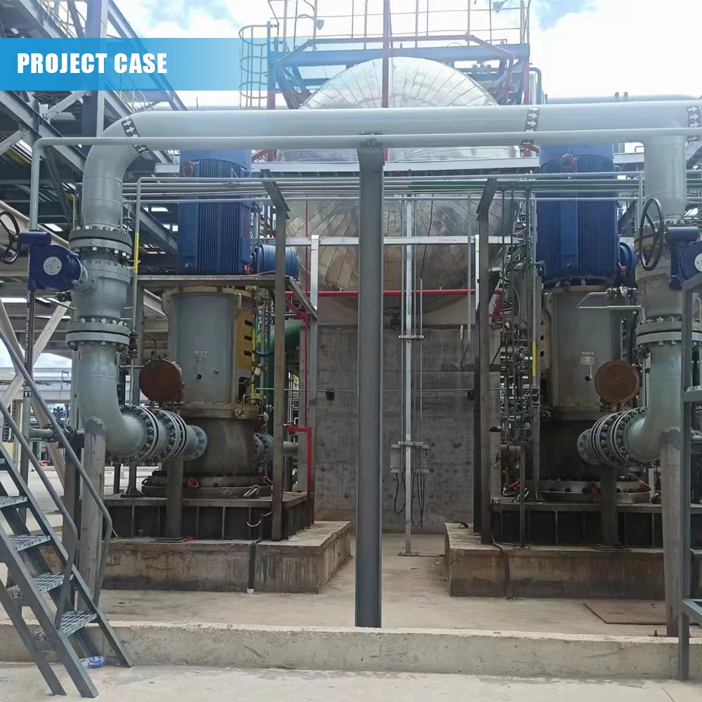 Huasheng manufacture axial flow pump OEM ODM support large chemical equipment Loop reactor Axial Flow Pump
