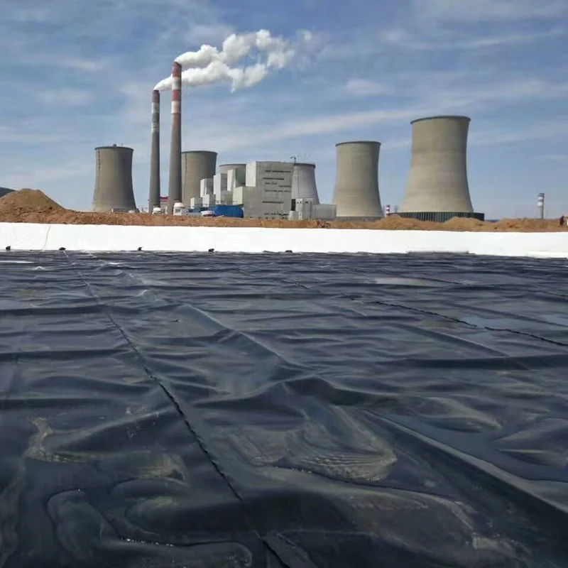China Fish Farm Pond Liner HDPE Geomembrane Wholesale Price
