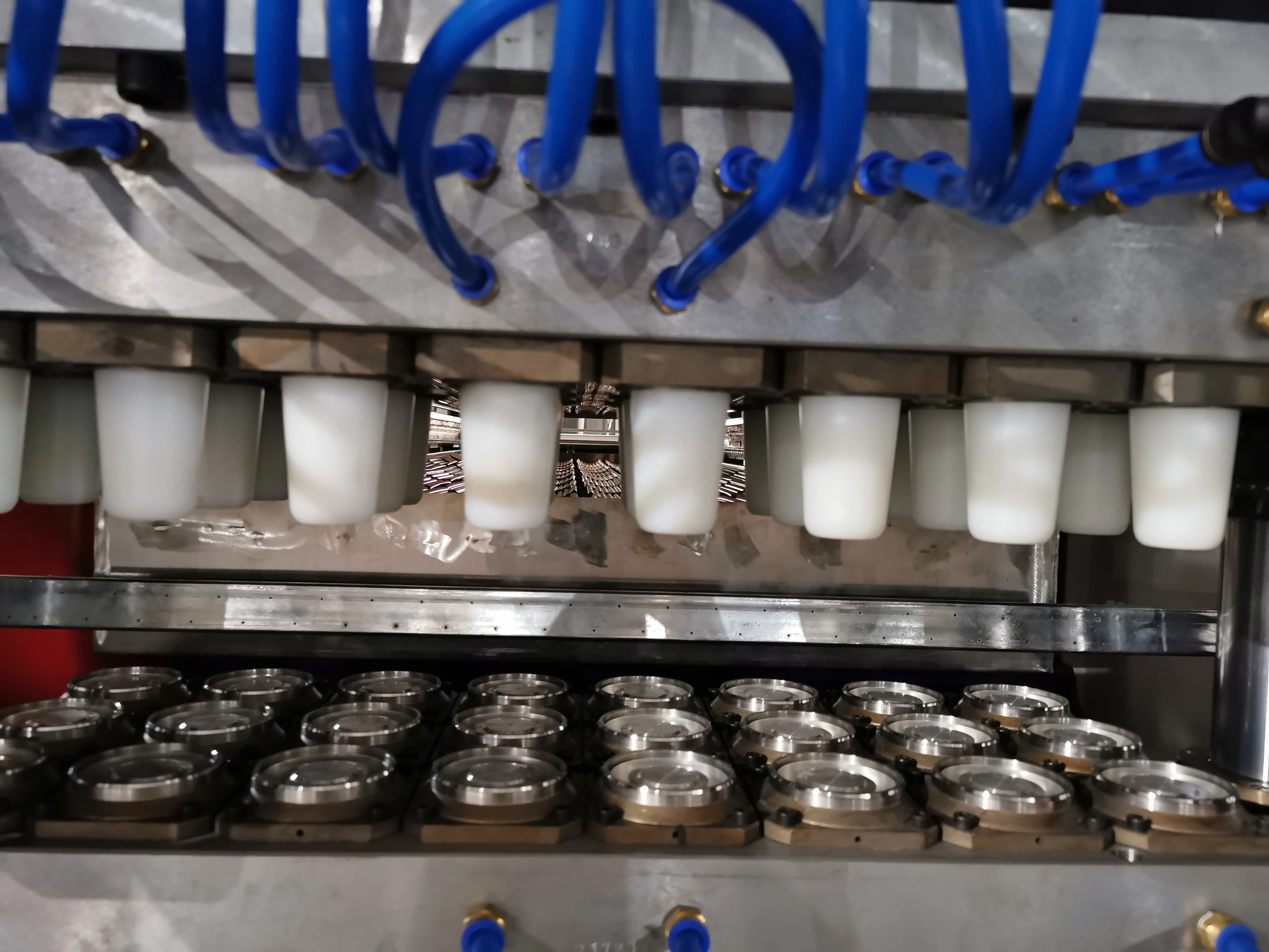 DB-750 High Speed full automatic equipment for making plastic lunch boxes and cups