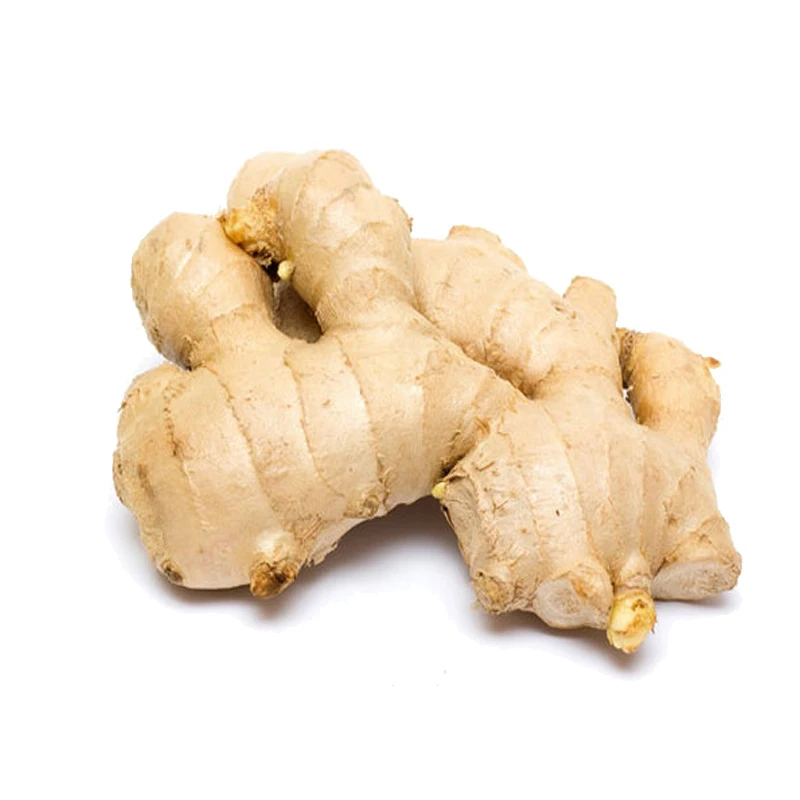 
GREENDAY China Wholesale organic fresh ginger price China Wholesale organic fresh ginger price