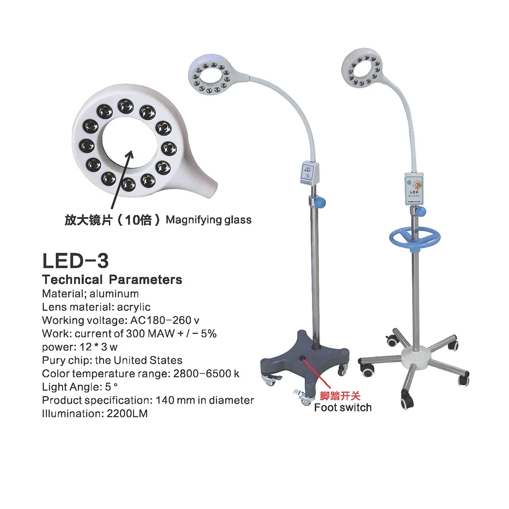 Surgical Shadowless Examination Light Electric Wall-Type LED LED Medical Lamp for Pet Hospital Dental Clinic Operating Room