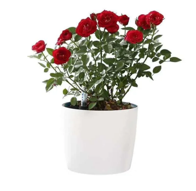 Self -absorbing plastic flower pot Creative showing water pots indoor and outdoor  high -quality flower pot