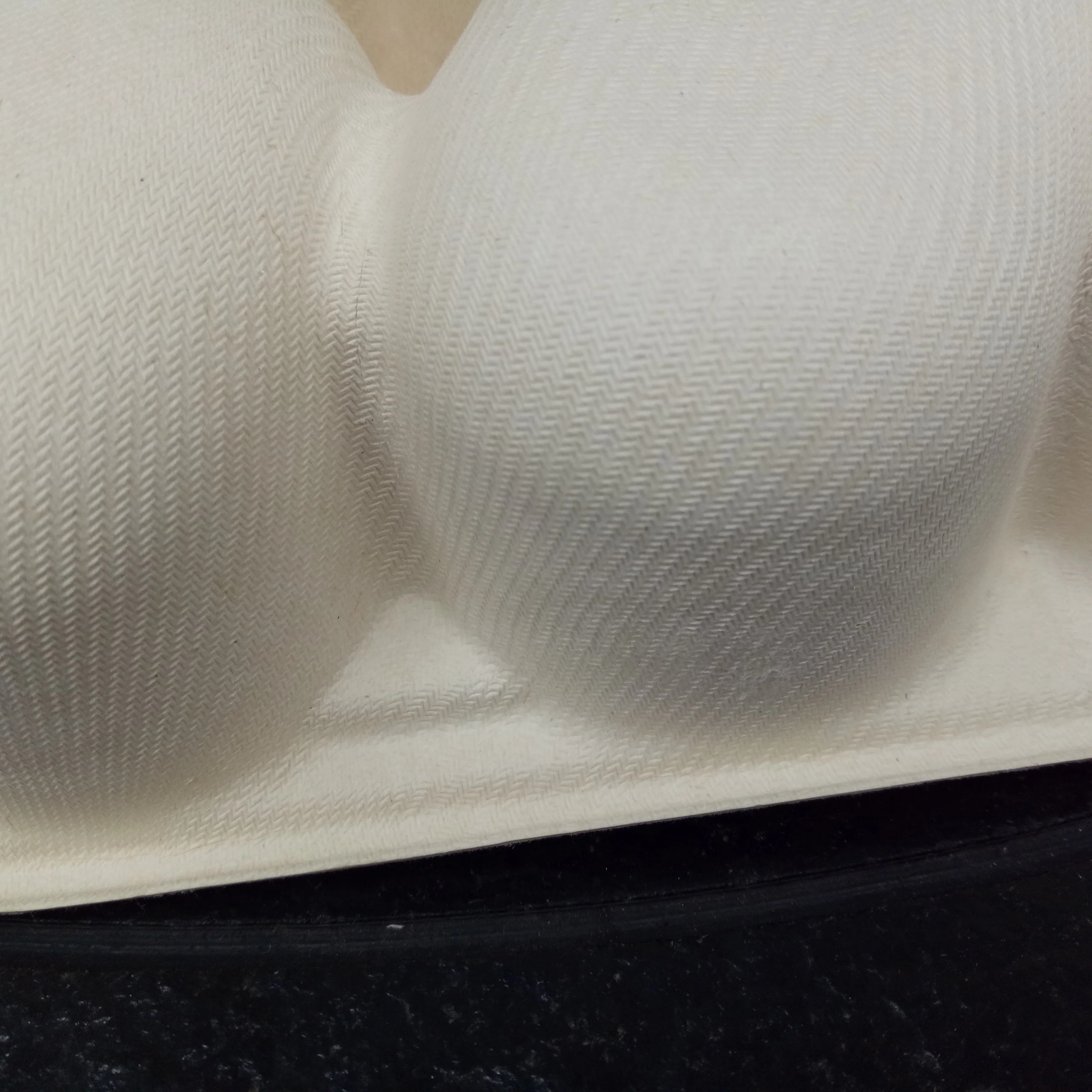 Custom Made High-End Pulp Molded Package Non-Pollution Low MOQ Sugarcane Bagasse Foam Kiwi Fruit Protective Filler Packaging Box