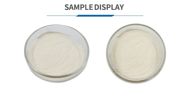 White Kidney Bean Extract