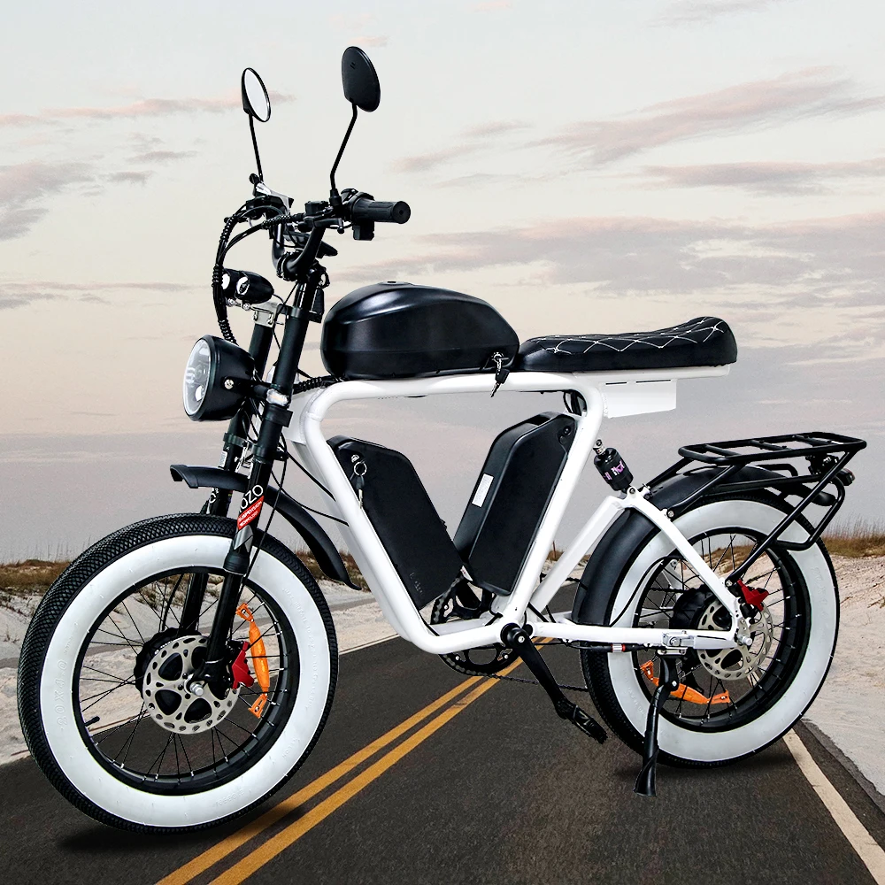 48V e Bike 80AH  Fat Tire Electric Mountain Bike 1000W  Electric Bicycle Dual motor large drive Aluminum Aiioy powerful frame