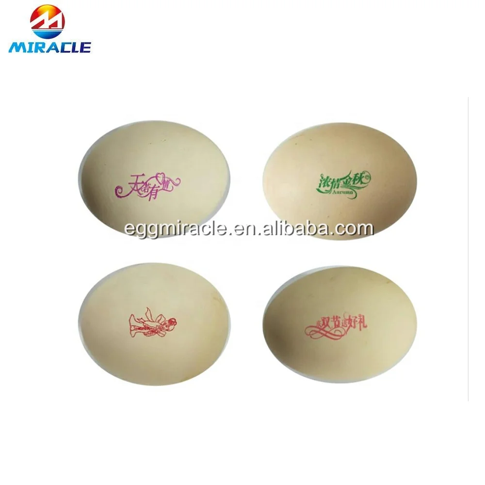 Factory price egg stamping system egg printer machine