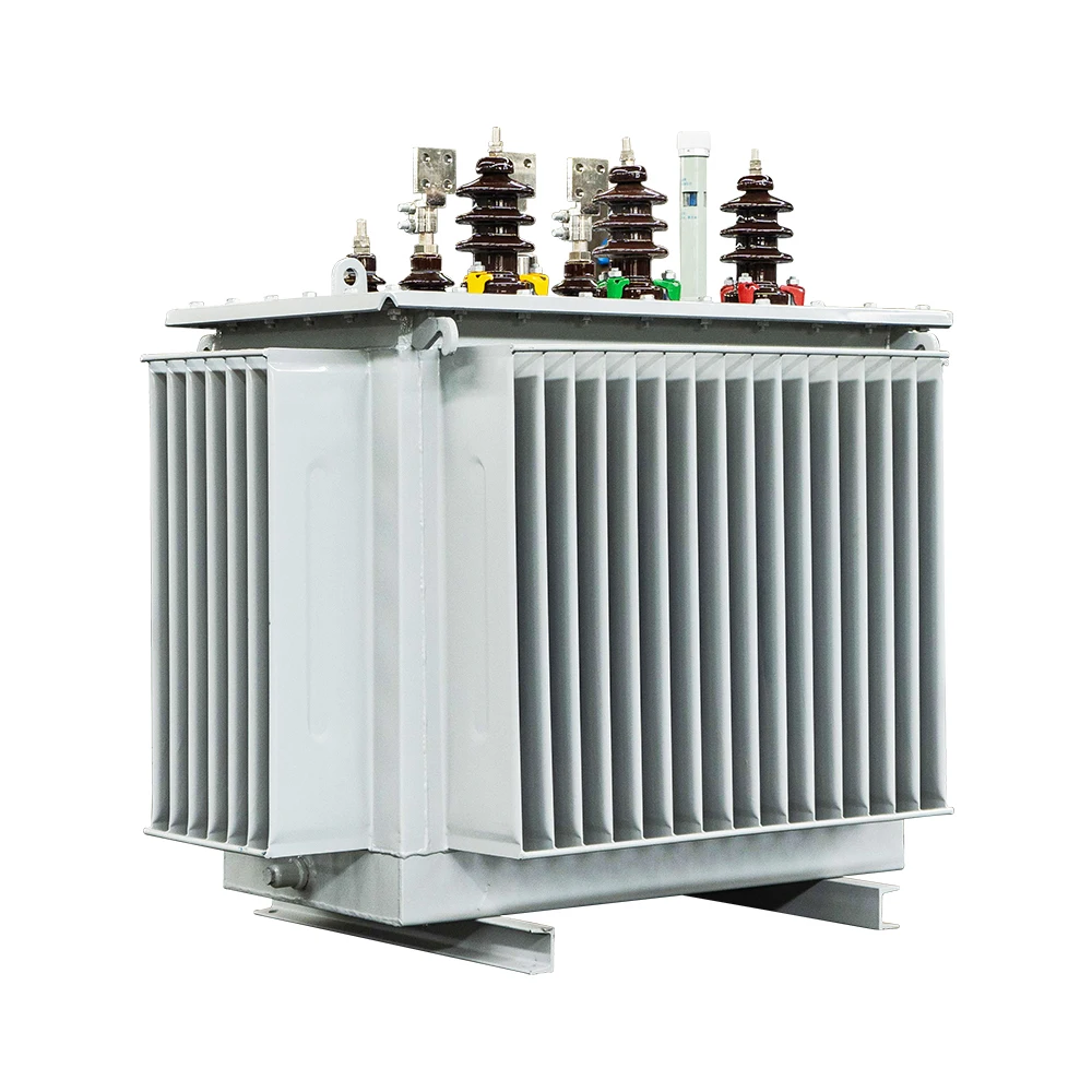 Double Winding Oil Immersed transformer Electricity Oil Immersed 25 kva 200kva 3 Phase power Transformer