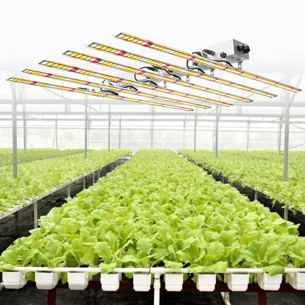 Dull spectrum led New Hot Sale  lm301h lm301b Optional 800W IP65  Plant Cultivate Grow Lights