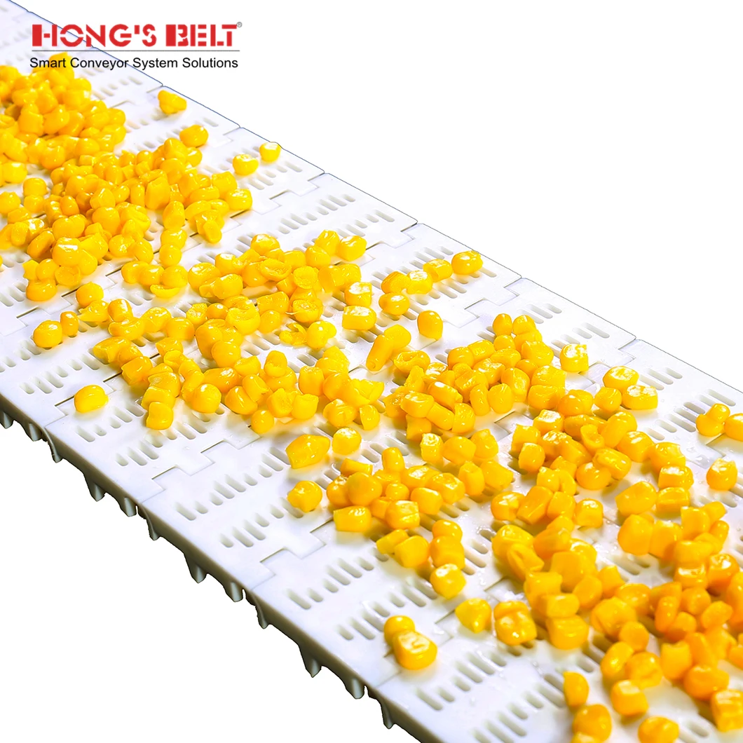 Hongsbelt HS-100B-HD Curved Modular Conveyor Chain Belt Modular Belt For Food Grade