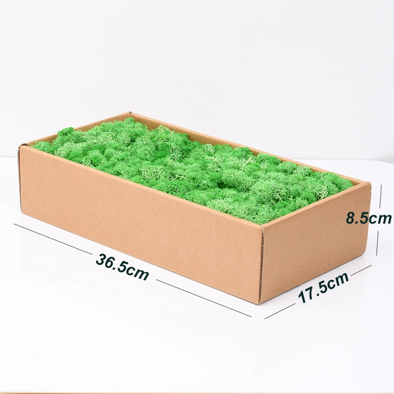 Amazon Hot selling wall home wedding decor Natural moss Preserved Reindeer Moss