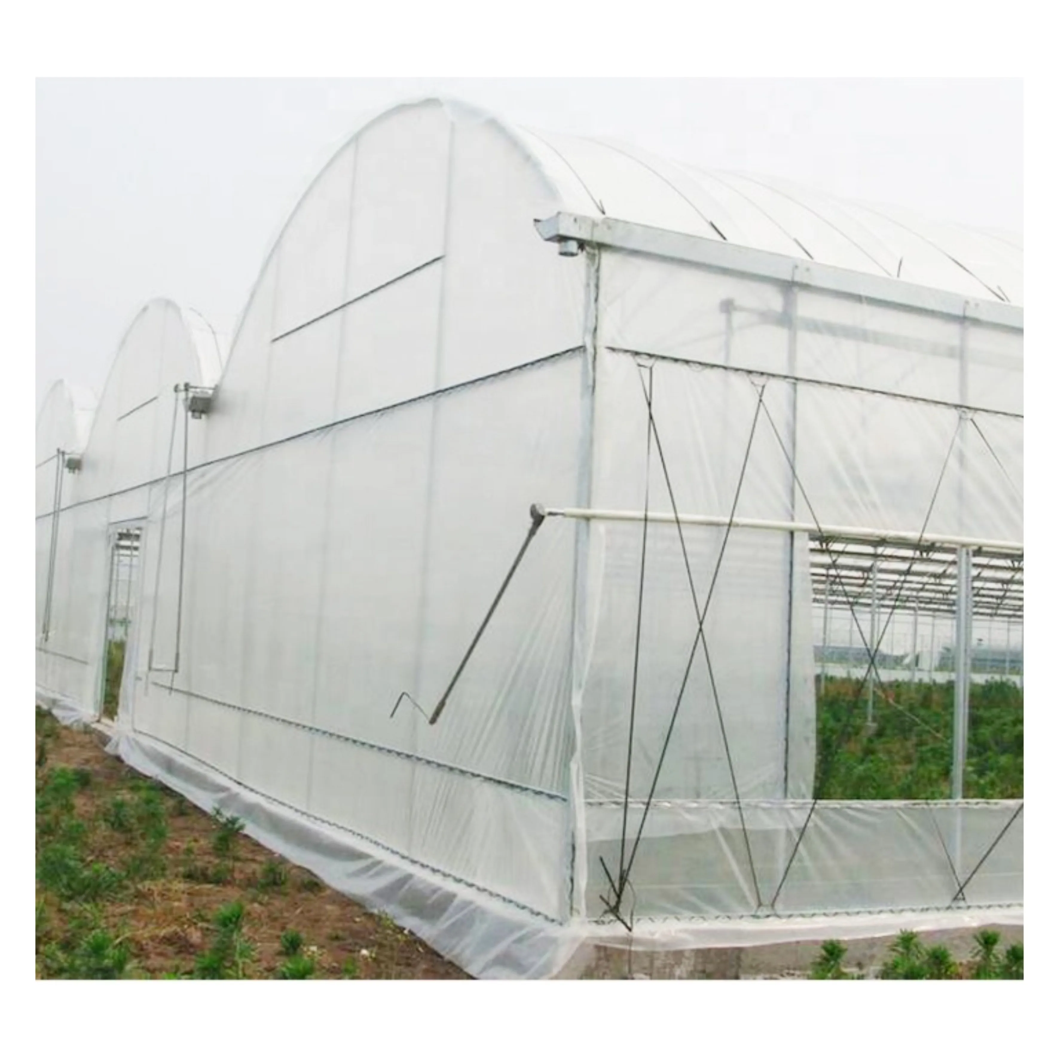 Large scale hydroponic greenhouse with customized agricultural film produced by Chinese Enterprises