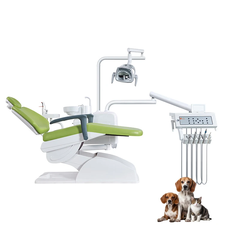 Modern Safety Luxury Integral Dental Unit Chair With Mini Air Compressor