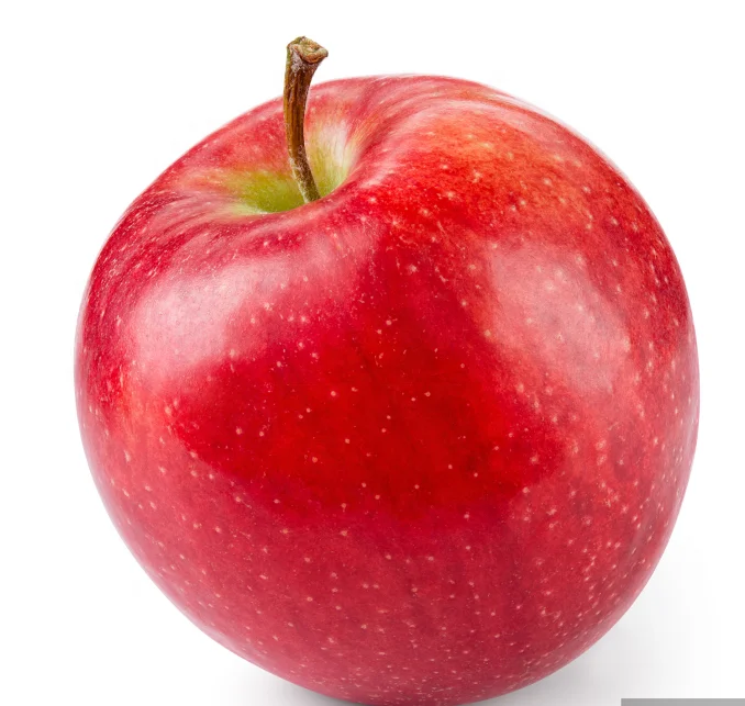 Supply Good quality with low price  new fresh fuji Apple with Fresh Apples From fuji apple Gardens for export