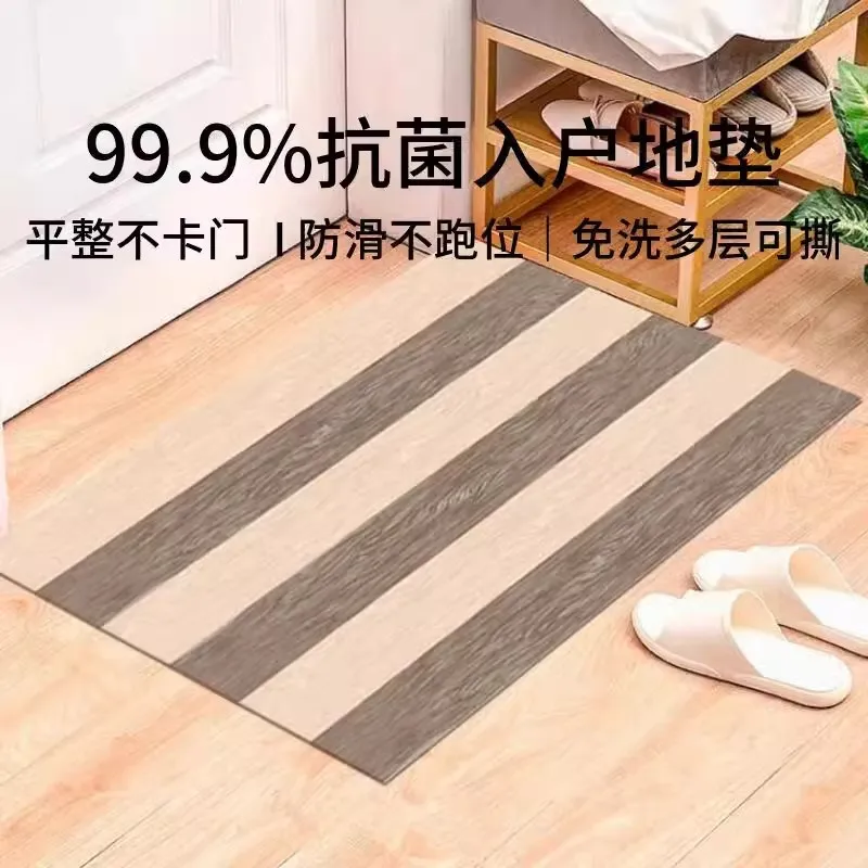 Entrance mat with antibacterial, dust removing and adhesive properties living room floor mat   high-end home use no washing