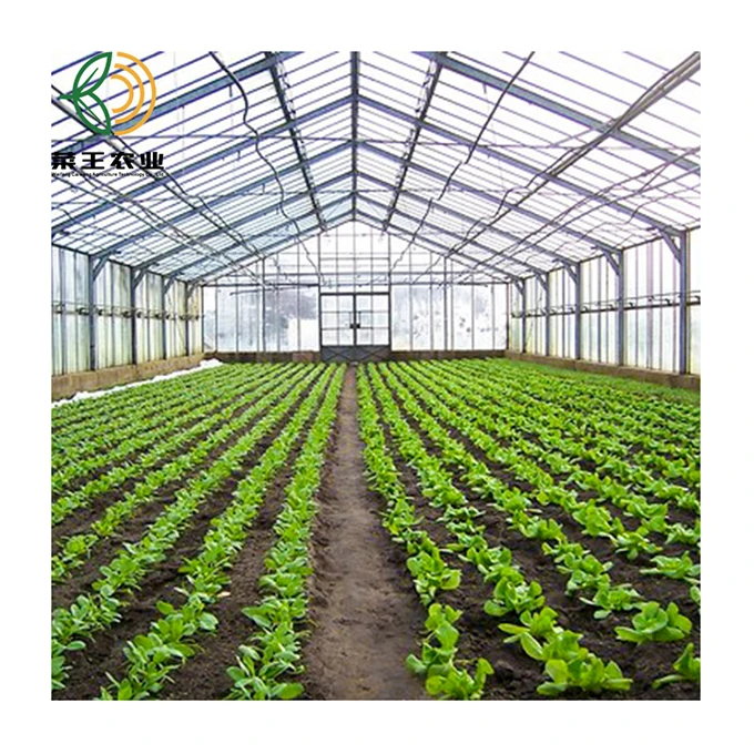 
manufacturer agricultural PC greenhouse multi span Tunnel greenhouses 