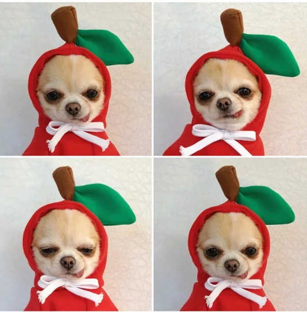 Cute Green Dog Hoodie Clothes Costume Fleece Winter Sweater for Dogs Puppy Coat Dog Warm Clothe