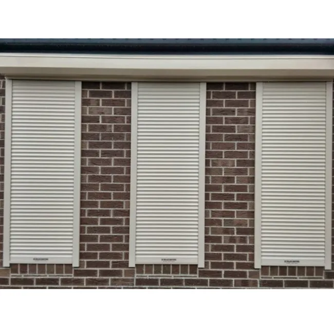Best price hurricane-proof high quality aluminum garage rolling door and home roller blinds for house