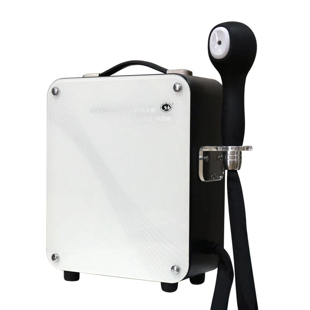 DTY Salon hair equipment professional micro mist steamer handheld hair spa nano steamer for beauty salon