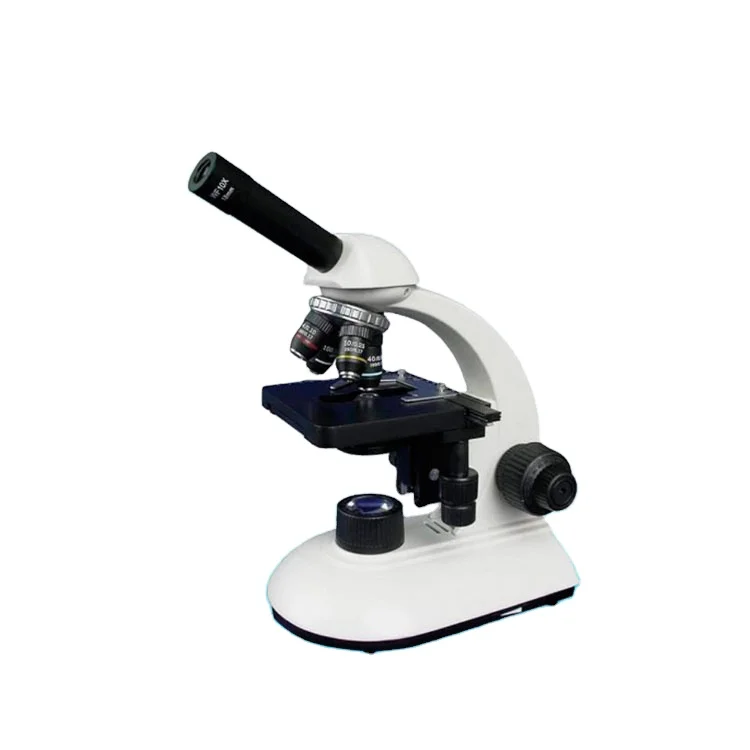 Electronic Microscopes And