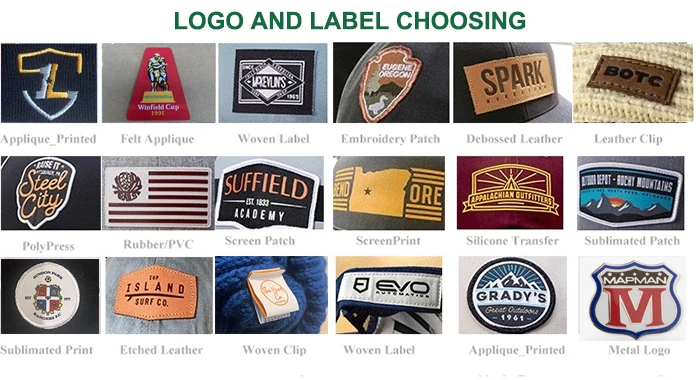 Choosing logo.jpg