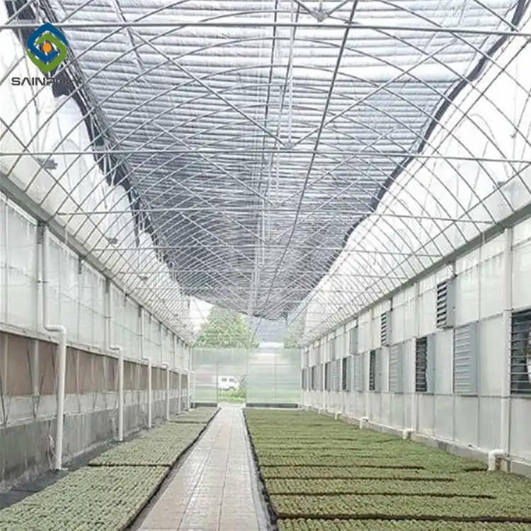 Agricultural Film greenhouse with hydroponic system