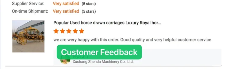 Custom designed Royal horse carriage High quality Royal horse carriage  Electric Royal horse carriage