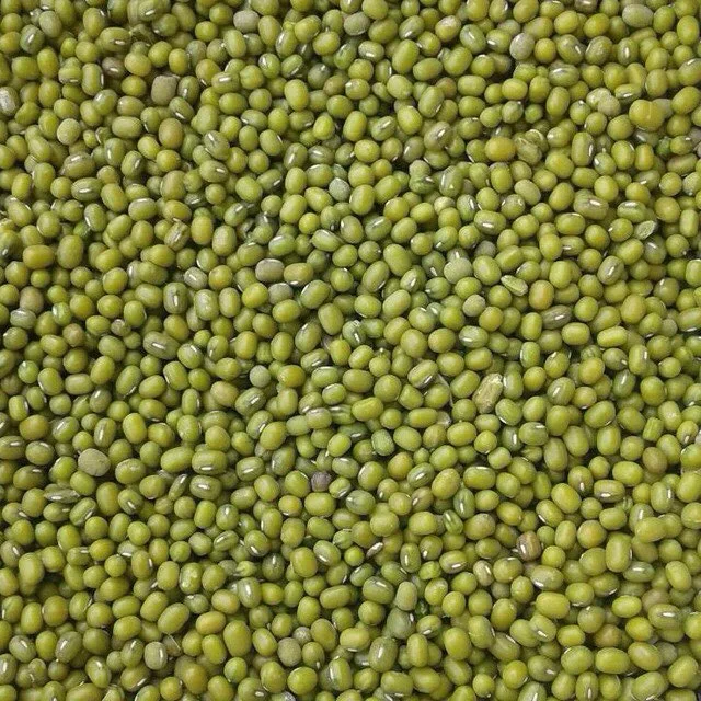 
Lentils Super Quality Green Yellow Red Split Yellow Split Peas (Lentils) 
