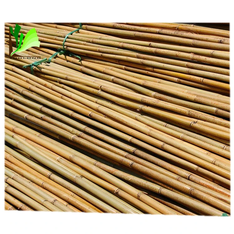 Cheap Natural Tonkin Raw Bamboo Stake for Support