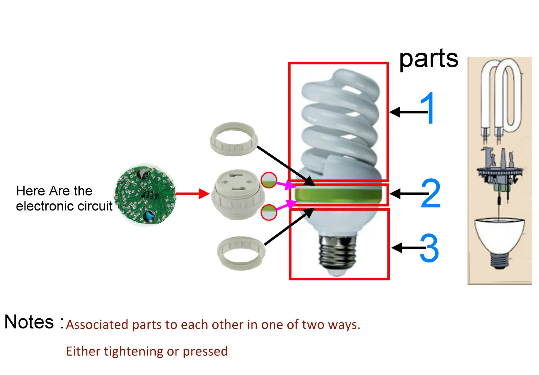 8000 hrs lifetime 25 Watt Half Spiral Energy Saving