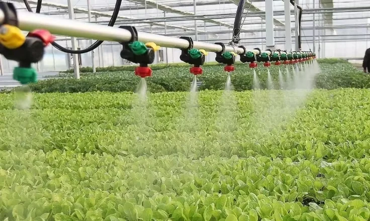 100% натуральное органическое удобрение порошок крутого ликера
