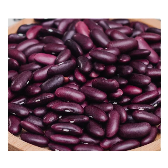 
Chinese red kidney beans for canned high quality long shape purple kidney bean red kidney bean 
