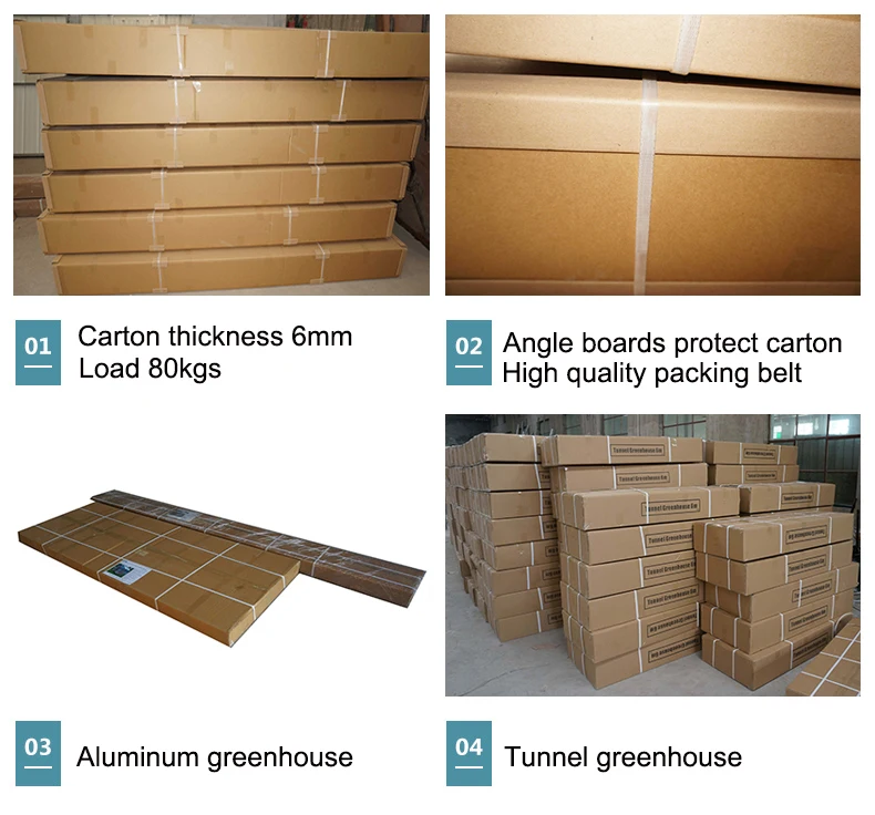 greenhouse packing.jpg