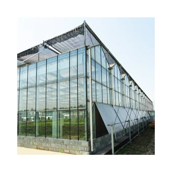 Glass Greenhouse with Hydroponic Growing System Large Water Cultivation Containers Green houses China Large Solar Panel JM