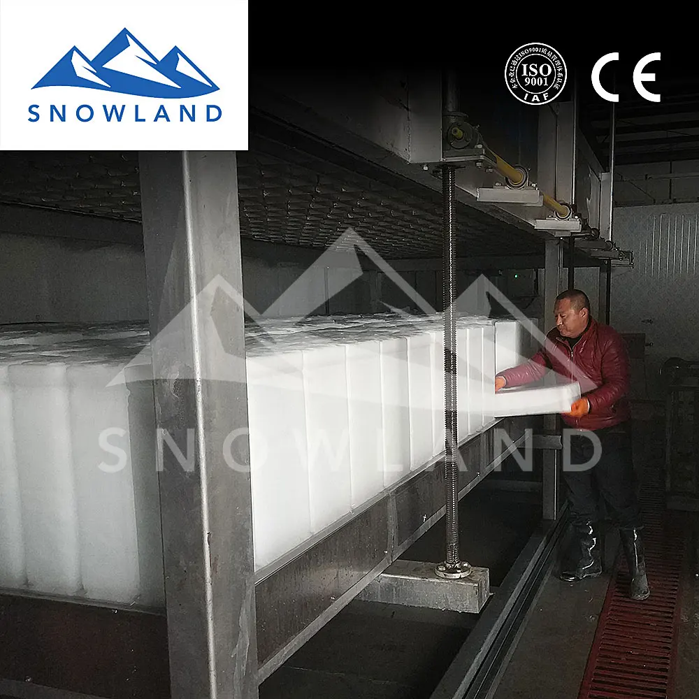 2021 SNOWLAND Opal nugget ice maker with 8 ton capacity block ice  for aquatic products