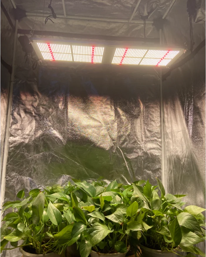 17 Years Experienced Reliable LED Grow Light UV IR LED Grow Light PCB PCBA Manufacturer