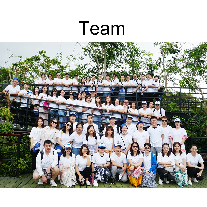 DIN6797A type of External Teeth Lock Washer