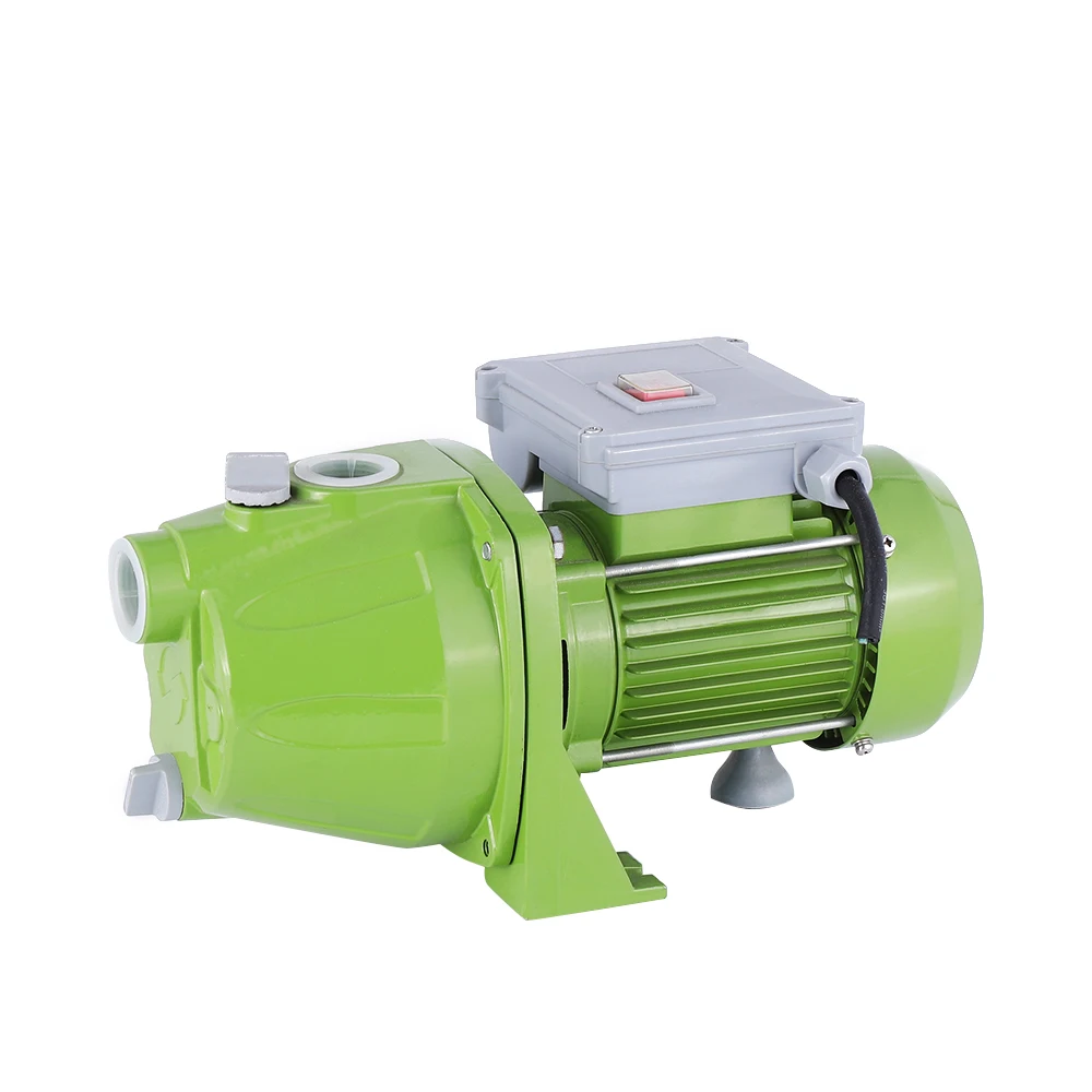 AC Small Electric Motor Water Pump Garden Irrigation Water Transfer Pump