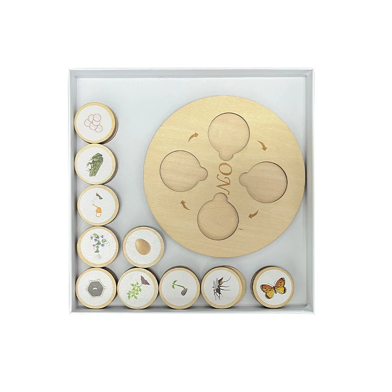 Unisex Montessori Life Growth Learning Toys Preschool Educational Baby Wooden Life Cycle Tray Puzzle Wood Material Set Supply