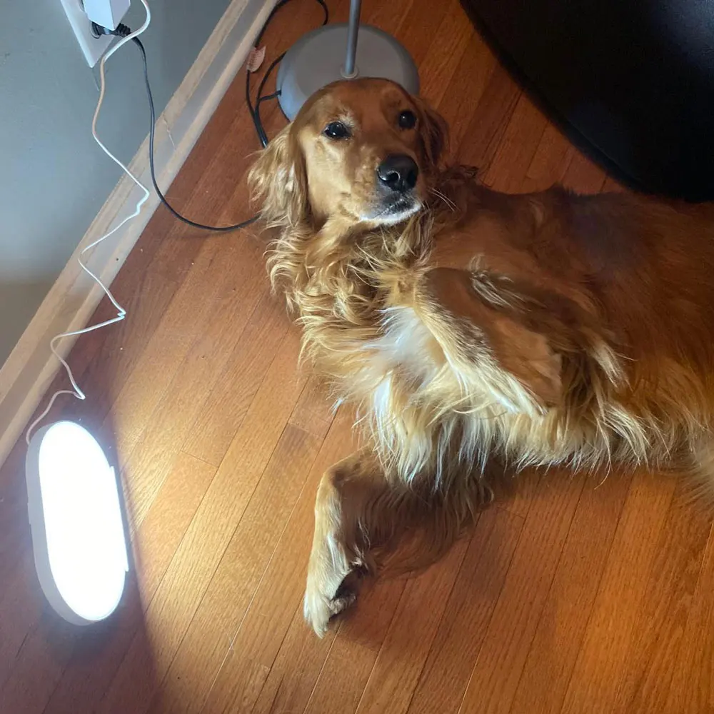 Guangqing GQ-L2 Sun Light SAD Mood Treatment Lamp Daylight 10000 LUX LED Light Therapy Daylight Lamp